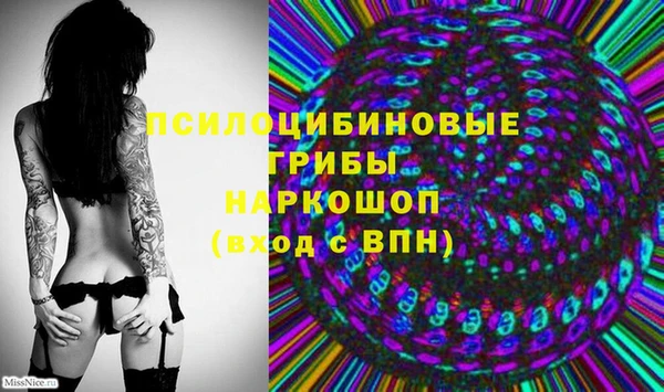 Альфа ПВП Белокуриха