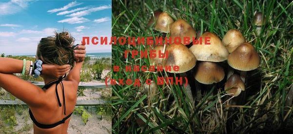 Альфа ПВП Белокуриха
