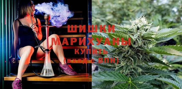 стаф Усмань