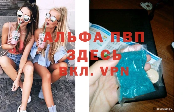 Альфа ПВП Белокуриха