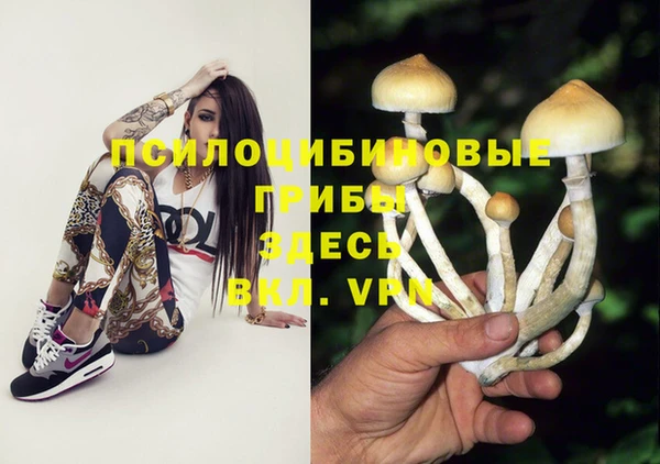 Альфа ПВП Белокуриха