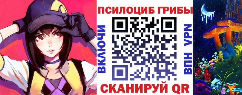 закладка  Дзержинский  Псилоцибиновые грибы GOLDEN TEACHER 