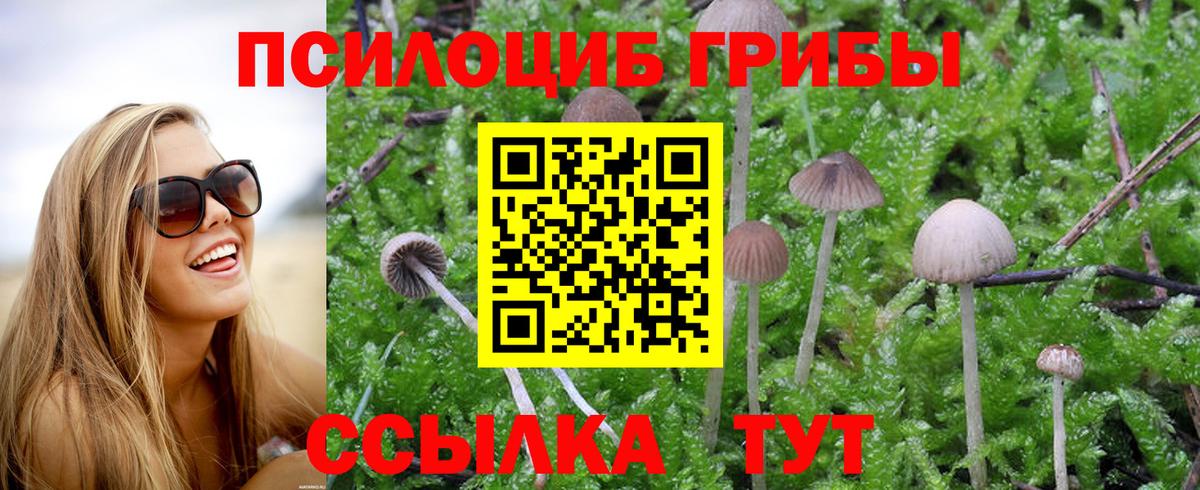 наркота  Дзержинский  Галлюциногенные грибы MAGIC MUSHROOMS  Галлюциногенные грибы мухоморы 