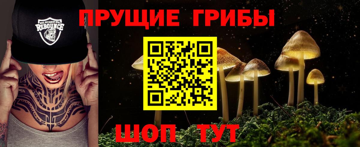 Галлюциногенные грибы мухоморы Дзержинский
