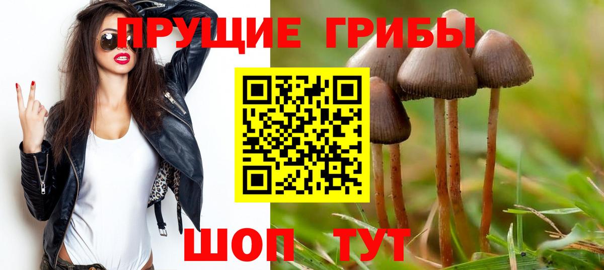 Галлюциногенные грибы Cubensis  Вход с VPN  Дзержинский 